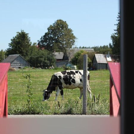 Karpu Dikis-Kempings Viesites Jaunmārupe Esterno foto