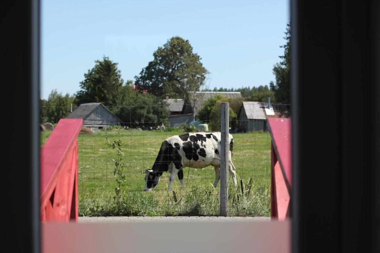 Karpu Dikis-Kempings Viesites Jaunmārupe Esterno foto